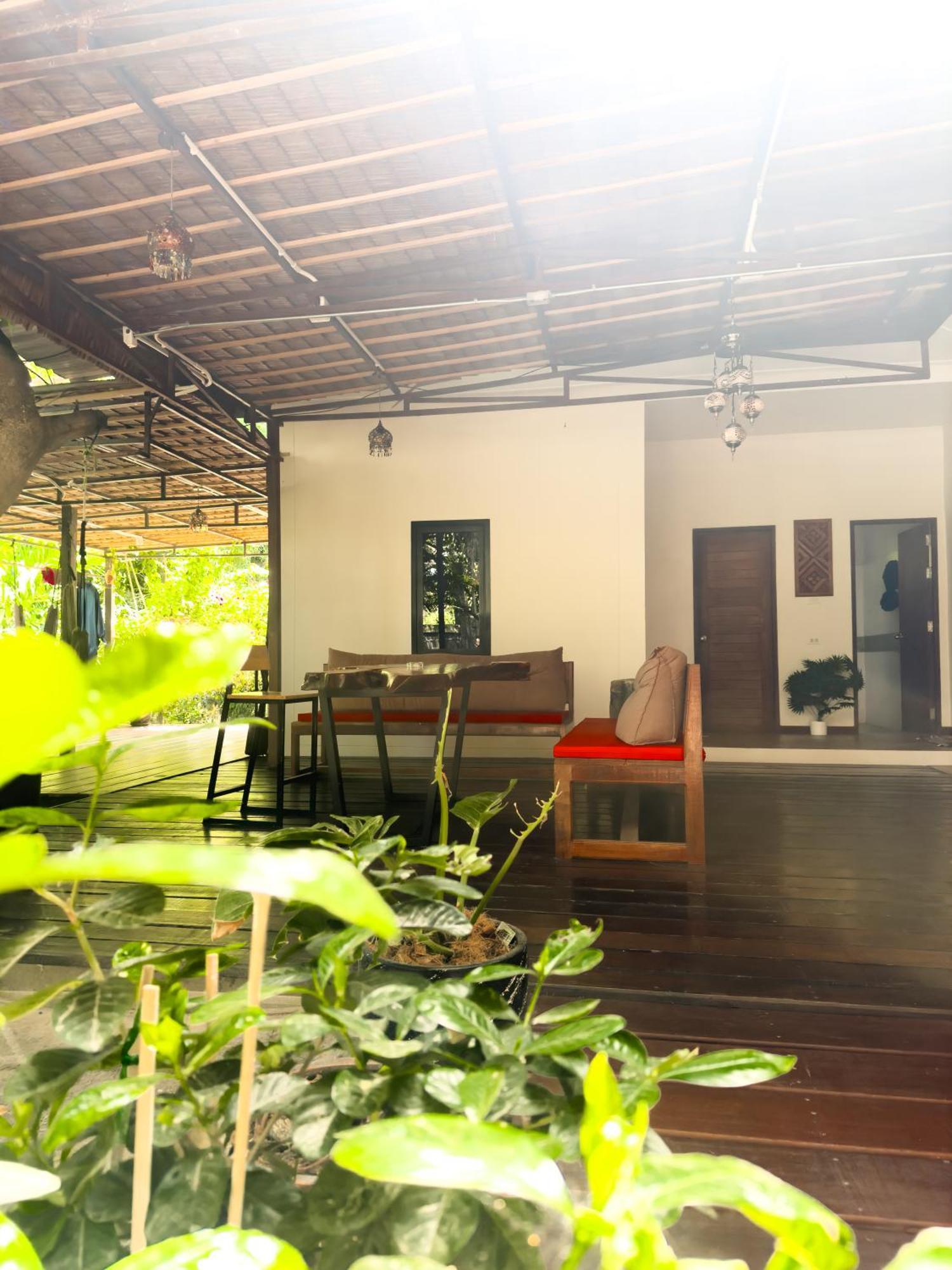 Jungle Vibes Hotel Thong Sala Luaran gambar